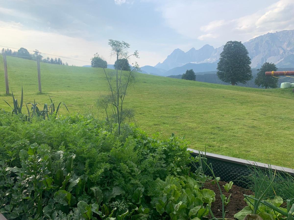 Fruehstueckspension Erika Homestay *